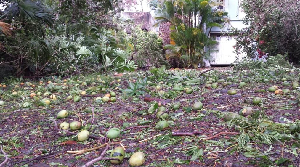 Image d'illustration pour Bilan du passage de Bejisa près de La Réunion