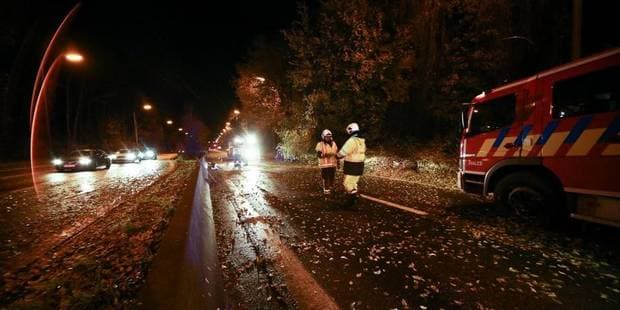 Image d'illustration pour Orages, vent, vagues et possible tornade sur le Nord de la France